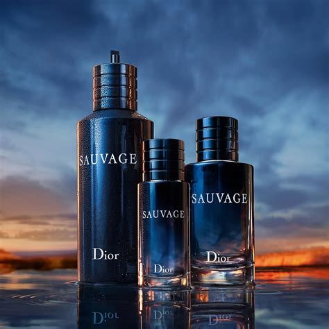 sabash dior|dior sephora sauvage cologne.